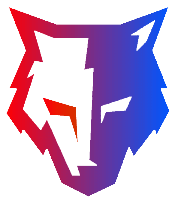 CYBER KILLER TEAM Logo